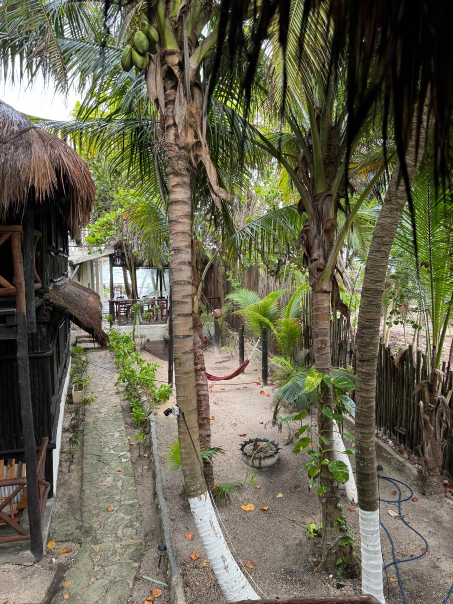 Sivana Tulum Dış mekan fotoğraf